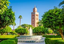 Tour from Marrakech